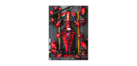 Poster F1 Ferrari merchandising - Ploy - art